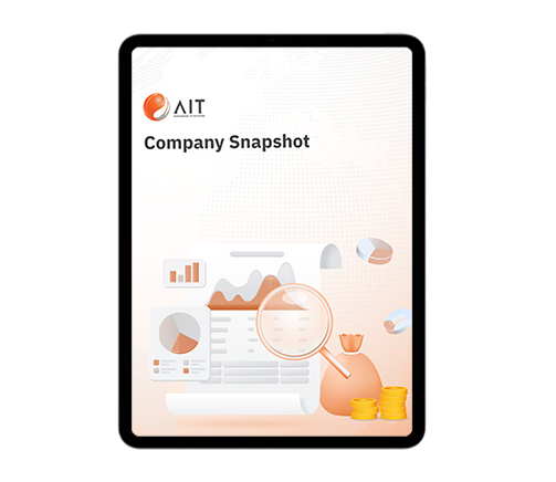 Company Snapshot 9M/2025